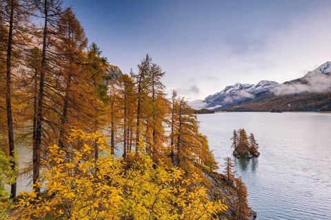 Morning atmosphere at Lake Sils