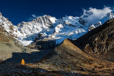 Glaciated peaks of Piz Bernina and Piz Scerscen