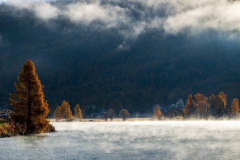 Backlight with fog at Lake Sils