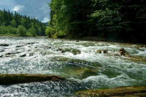 Raging current in the Ammer River near Bad Kohlgrub. Bavaria