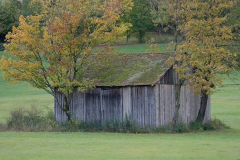 Wooden shed