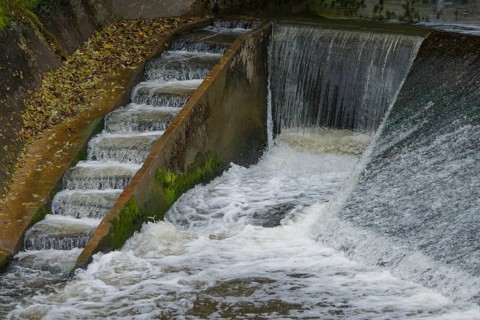 Fish ladder