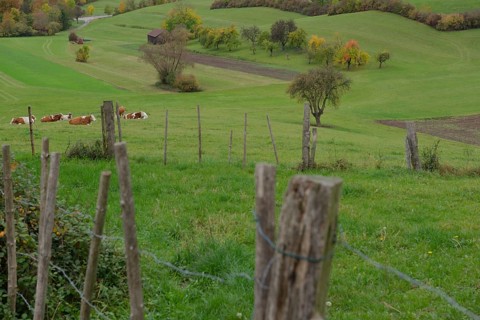 Autumn landscape near Gaildorf