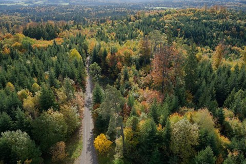 Autumn landscape near Sulzbach-Laufen