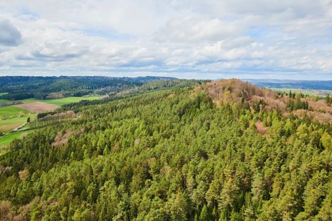 Aerial view of the area around Neumarkt in der Oberpfalz