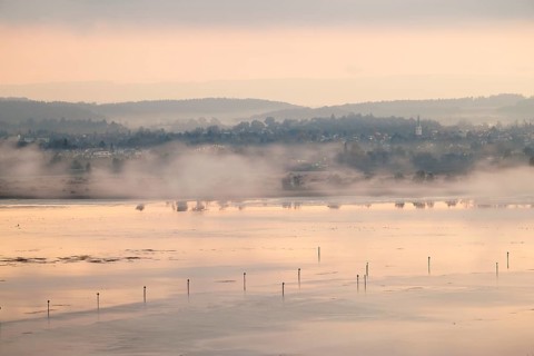 Autumnal foggy atmosphere at sunrise with a view of the Seerhein