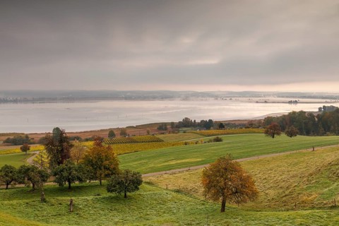Foggy atmosphere at sunrise with view of the Seerhein