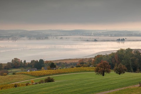 Foggy atmosphere at sunrise with view of the Seerhein