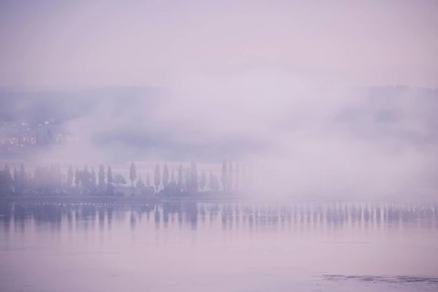Foggy atmosphere at sunrise with view of the Seerhein