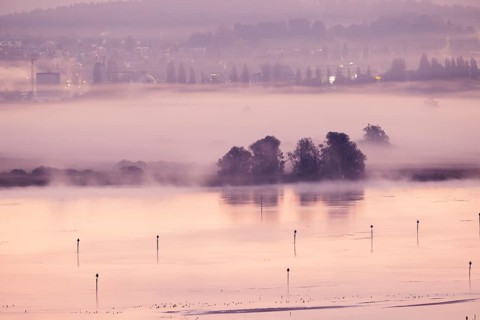 Foggy atmosphere at sunrise with view of the Seerhein