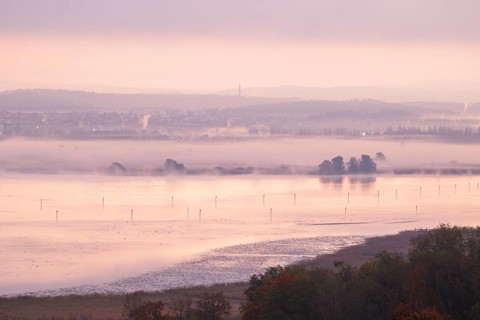 Foggy atmosphere at sunrise with view of the Seerhein