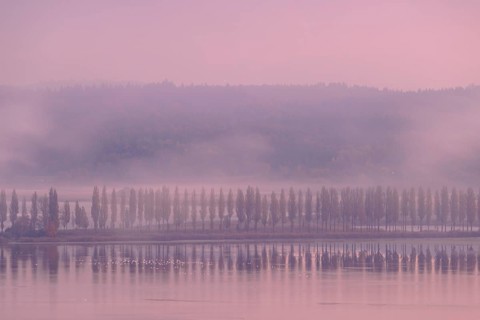 Foggy atmosphere at sunrise with view of the Seerhein