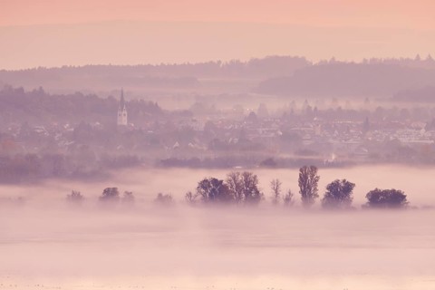 Foggy atmosphere at sunrise with view of the Seerhein