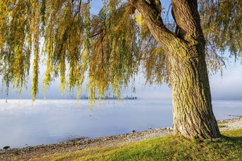 Fog over Lake Constance on an autumn morning with boats
