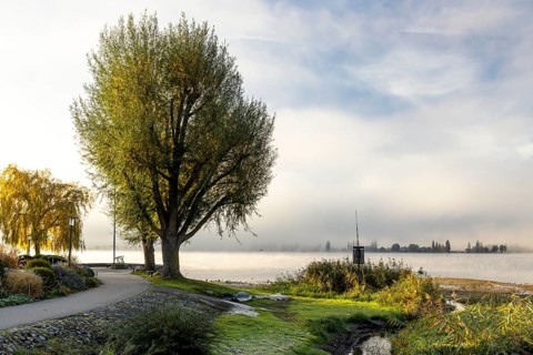 Fog over Lake Constance on an autumn morning with boats