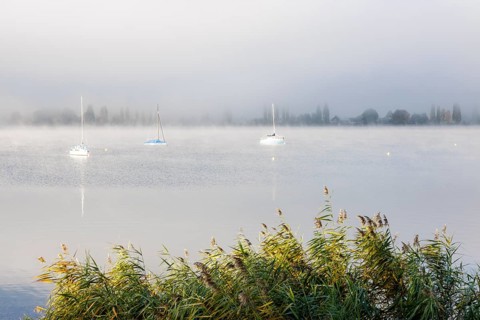 Fog over Lake Constance on an autumn morning with boats