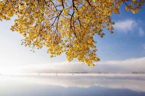 Fog over Lake Constance on an autumn morning with boats
