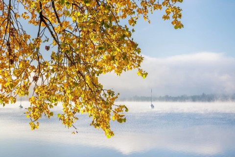 Fog over Lake Constance on an autumn morning with boats