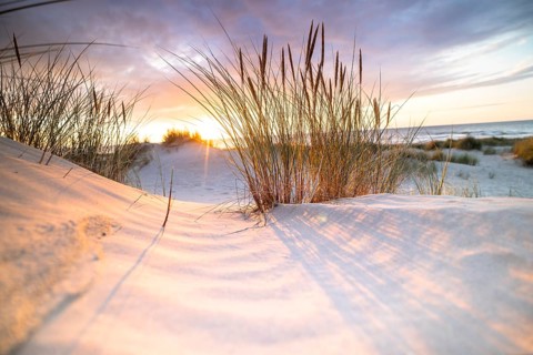 Sunset in the dunes at the North Sea