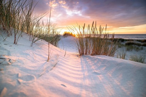 Sunset in the dunes at the North Sea