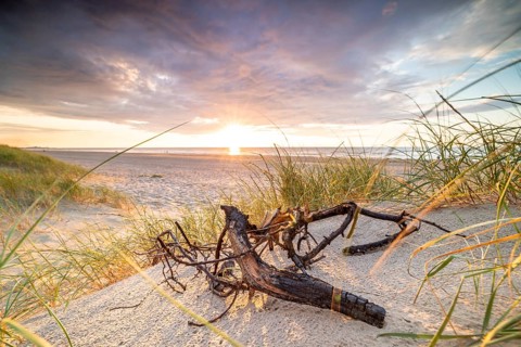 Sunset in the dunes at the North Sea