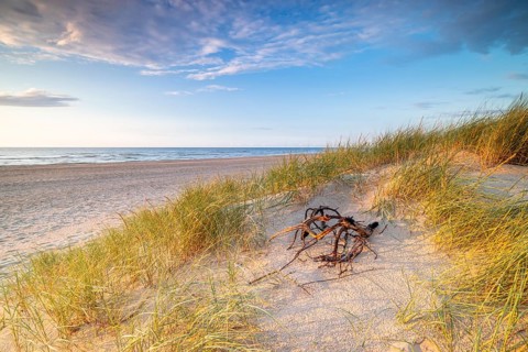 Sunset in the dunes at the North Sea