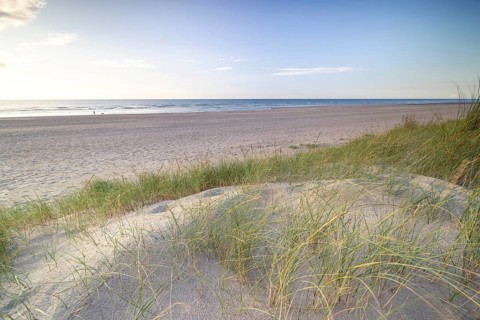 Dune landscape on the North Sea coast in De Panne