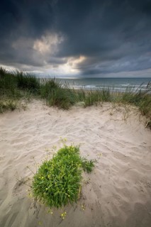 Evening mood with cloudy sky and rain on the beach and in the dunes of De Panne