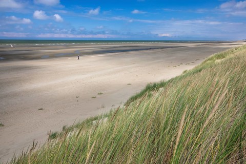 Dune landscape on the North Sea coast in De Panne