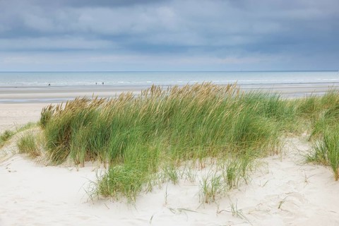 Dune landscape on the North Sea coast in De Panne