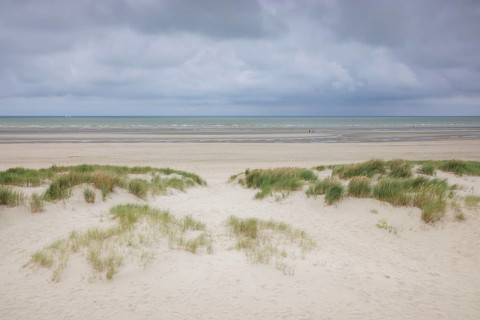 Dune landscape on the North Sea coast in De Panne