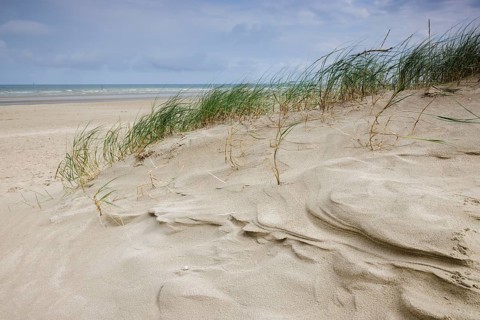 Dune landscape on the North Sea coast in De Panne