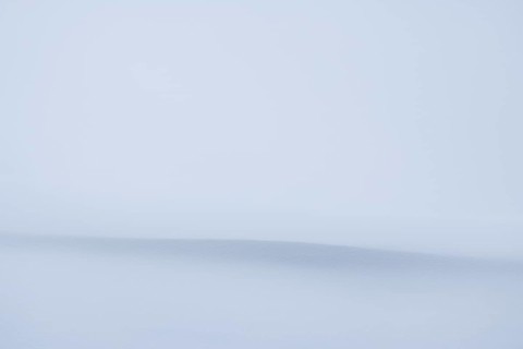 Winter landscape near the wind beeches with fog and morning light