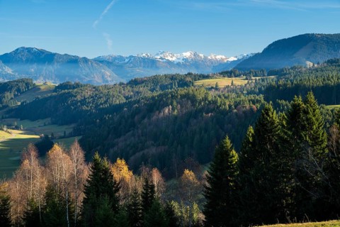 Landscape near Missen-Wilhams in Allgäu with a view of forests and mountains. On the left in the picture the mountain Grünten. Some snow-covered Alpine peaks. Blue sky