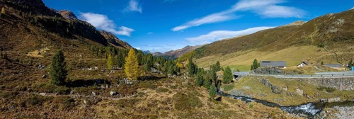 Colourful larches and mountain panorama