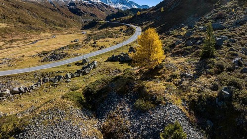 Colourful larches and mountain panorama