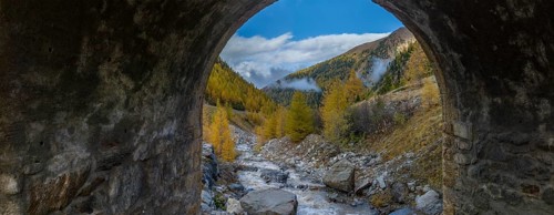 Colourful autumnal larch forests and torrent