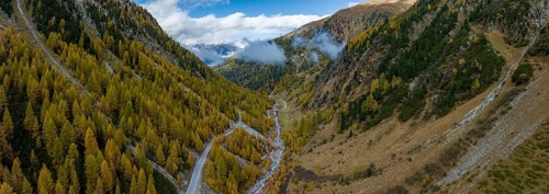 Colourful autumn larch forests