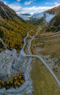 Colourful autumn larch forests