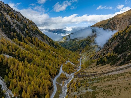 Colourful autumn larch forests