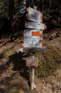 Main signpost