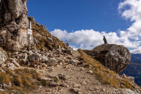 Aquila di Christomannos