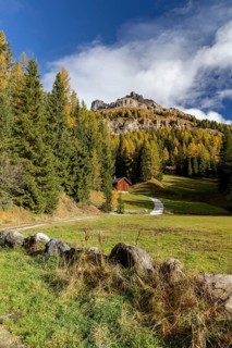 Autumnal coloured larches at the foot of the Catinaccio massif