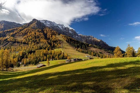 Autumnal coloured larches at the foot of the Catinaccio massif