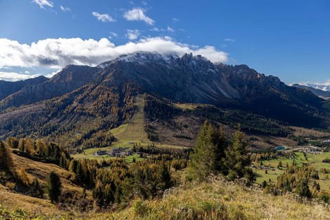 View of the Latemar from the rose garden massif