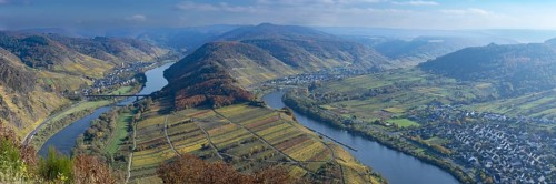 Moselle Bend near Bremm in Autumn