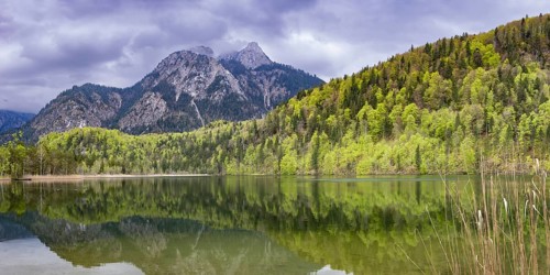 Schwansee