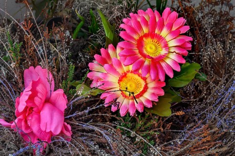 Artificial gerbera