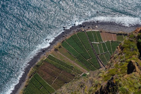 View from Cabo Girao