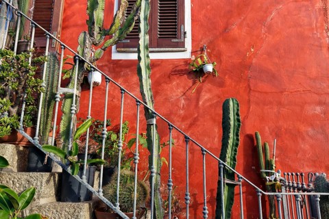 Staircase decorated with cacti in front of red house façade